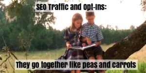 SEO Traffic and Opt-ins