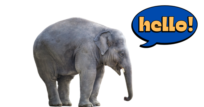 ai impact on seo is the elephant in the room